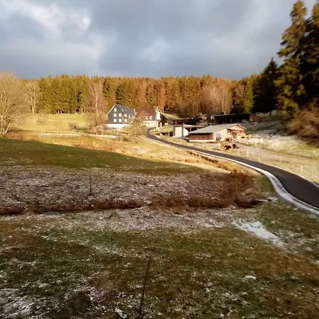 Weideblick