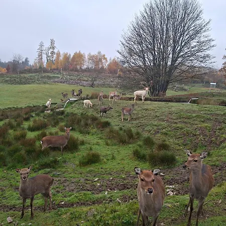 Weideblick Bad Berleburg