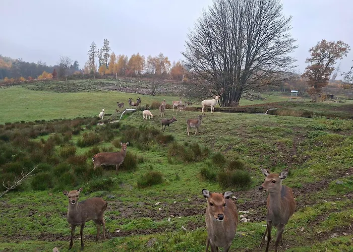 Weideblick Bad Berleburg