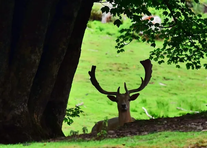 Vakantiehuis Weideblick *
