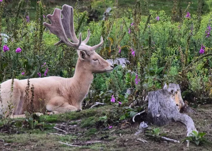 Vakantiehuis Weideblick