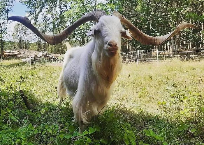 Weideblick Vakantiehuis Bad Berleburg