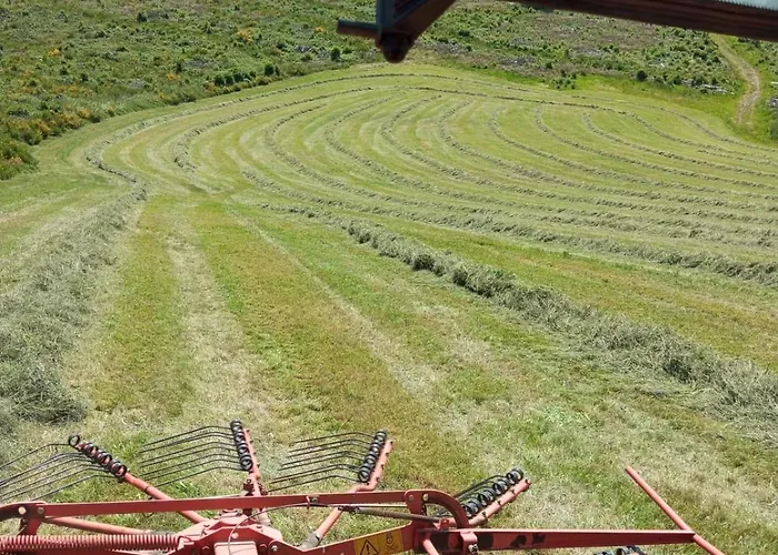 Vakantiehuis Weideblick *