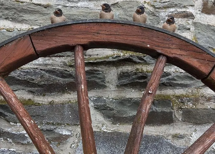 Vakantiehuis Weideblick *