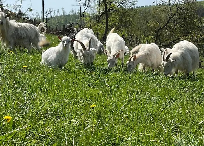 Vakantiehuis Weideblick Bad Berleburg