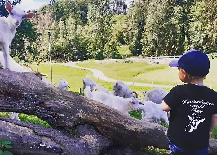 Vakantiehuis Weideblick Bad Berleburg